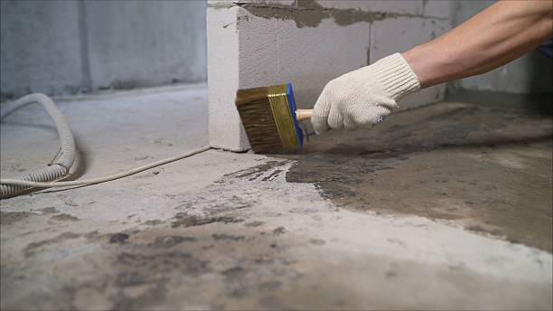 Top rated local Crawl Space Encapsulation specialists in King George, VA